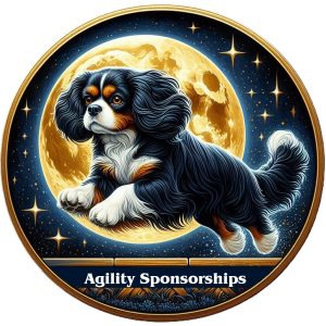 Agility Sponsorships