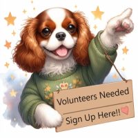 volunteersneeded
